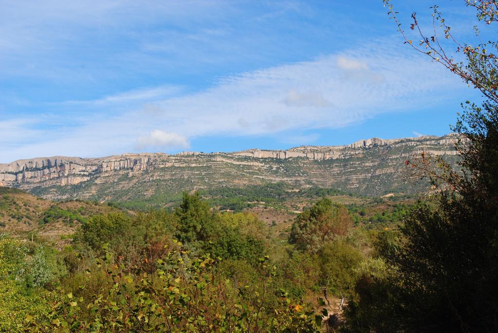 Masia El Riscle - Moli Del Pont Guest House Cornudella de Montsant Bagian luar foto